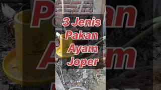 3 Jenis Pakan Ayam Joper Pedaging Paling Umum #shorts