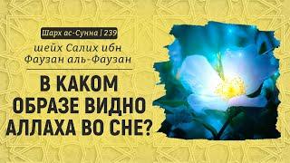 В каком образе видно Аллаха во сне? / Шейх Салих аль-Фаузан / Шарх ас-Сунна (239)