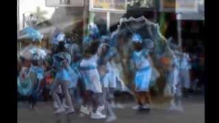 Homegrown Community: Carnival Tuesday, Brazil Village 2015