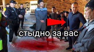 ТАДЖИК БОКСЕР В ОДИНОЧКУ ЖECТKO ВСЕХ ПОРЕШАЛ ЗА ТОЛПЫ УЗБЕКОВ! КОНКРЕТНО ЗАСТУПИЛСЯ