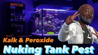 Ep.28 | Kalk Paste & Peroxide - Nuking Reef tank Pest