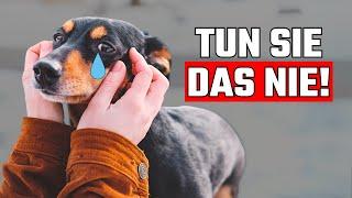 11 Emotionale Wunden, die dein Hund dir NIEMALS verzeihen wird!