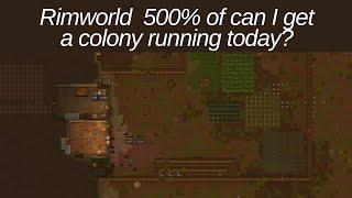 500% of can I get a colony running today? ep.5