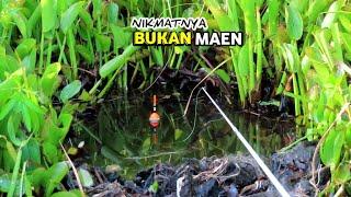 Pemancing di buat geram oleh ikan-ikan ini #PR-157