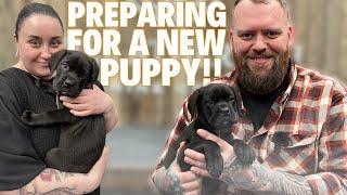 HOW TO PREPARE FOR A NEW PUPPY!