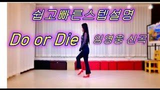 Do or Die Line Dance  쉽고빠른스텝설명