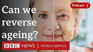 Have we already found the fountain of youth? - The Global Story, BBC World Service