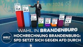 LANDTAGSWAHL IN BRANDENBURG HOCHRECHNUNG: SPD setzt sich gegen AfD durch -BSW & CDU fast gleich auf