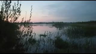 Наслаждение закатом,озером и пением птиц.Звуки природы. #закат,#озеро,#звукиприроды,#пениептиц.