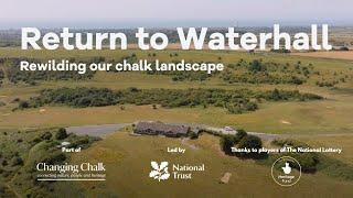 Return to Waterhall: rewilding our chalk landscape