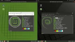 Linux Mint 20.3 vs LMDE 5: Review Comparison