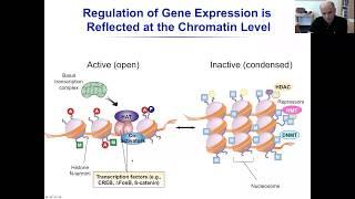 Prof. Eric J. Nestler, Transcriptional and Epigenetic Mechanisms of Depression