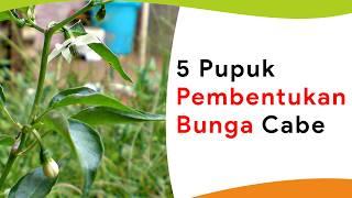 5 Pupuk Pembentukan Bunga Paling Joss!