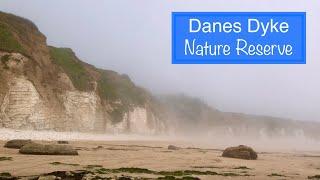 AMAZING MYSTICAL MAGICAL DANES DYKE | SIT BACK SUNDAYS | FRUGAL LIVING VLOG