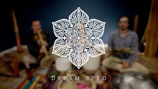 1 Hour Sound Meditation: Didgeridoo, Crystal Bowls, Flute and more with Dream Seed