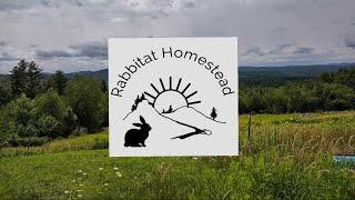 Introducing Rabbitat Homestead!