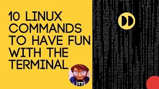 10 Amusing Linux Commands To Have Fun With The Terminal | Tips & Tricks of #Terminal | #iTestingTech