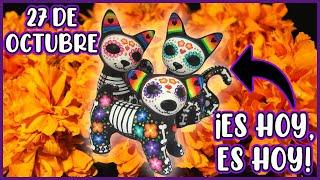 ¿Por Qué Se Cree Que Nuestras Mascotas Regresan El 27 De Octubre? - SiamCatChannel