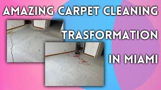 Amazing Carpet Cleaning trasformation in Miami