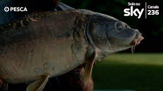 VITA DA NOMADI 3 - PROMO 7 - CARPFISHING DALLA BARCA