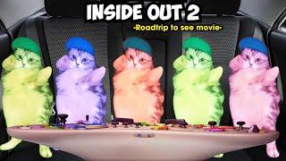 CAT MEMES: Roadtrip to see movie Inside Out 2
