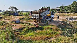 First Starting A New Project!! Filling Land by Bulldozer Komat'Su D31P Push soil with 5ton Trucks