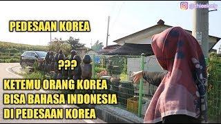 MAIN KE PEDESAAN KOREA | SEPERTI TAK BERPENGHUNI ??