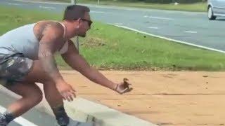 This Guy Helps Baby Goose Crossing Road