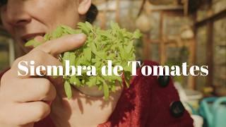 Siembra de Tomates  | Comenzó mi Temporada! Luces de cultivoy el método Completo 