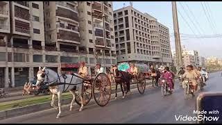 WINNER SHADA HORSE KARACHI TOURNAMENT