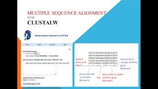 Multiple Sequence Alignment with CLUSTALW tool