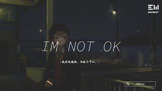 XMASwu - IM NOT OK「我想說抱歉 但我不可以。」動態歌詞lyrics