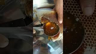 100 % pure honey  #shorts #purehoney #honeybees #shortsfeed