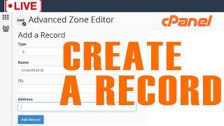 [LIVE] How to Create A Record in cPanel and ping it to some other IP Address?