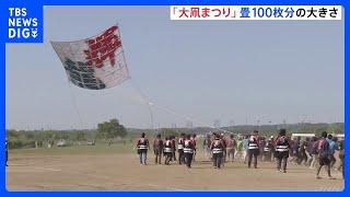 100畳大の巨大凧が大空舞う　神奈川・座間市で大凧まつり　最大高度は約100メートルに　5日（こどもの日）も開催｜TBS NEWS DIG