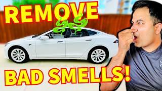 REMOVE BAD SMELLS From Your Car! (The Only 3 Steps You Need) Trust Me