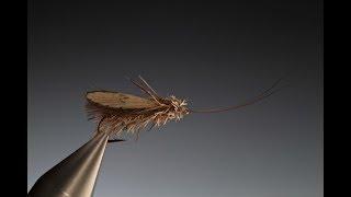 Tying a Wonder wing Sedge/Caddis with Barry Ord Clarke