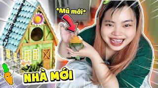 BÉ KẸO CÓ NHÀ MỚI VÀ MŨ MỚI | KAMUI NHẬT KÝ CHĂM SÓC PHẦN 3