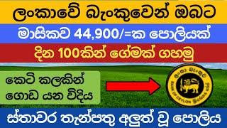  BOC Bank fixed deposit interest rates |New fd rates in sri lanka 2024 money market account