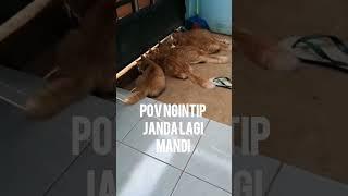 Oyen ngintip janda lagi mandi