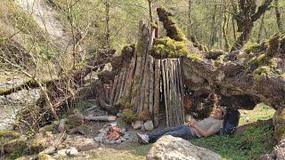 Building a wooden bushcraft survival shelter.solo camping.asmr