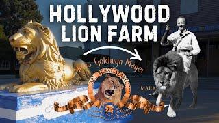 The Forgotten Lion Farm of Hollywood