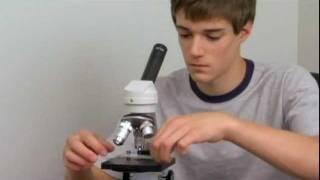 The Home Microscope Series