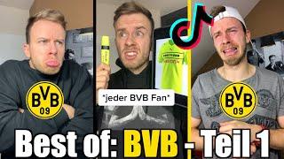 Best Of Borussia Dortmund!  | (fa_sc TikTok Compilation #1)