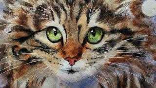 How to Paint a Brown Tabby Cat Start to Finish Watercolor Tutorial