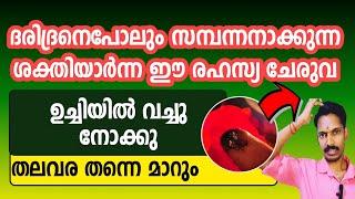 ദരിദ്രനെ പോലും സമ്പന്നനാക്കുന്ന ഈ രഹസ്യ ചേരുവ ഉച്ചിയിൽ വച്ചു നോക്കു. തലവര തന്നെ മാറും