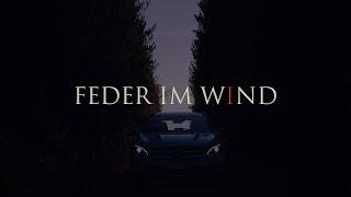 Deetox  Feder im Wind 