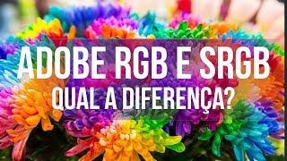 Adobe RGB ou sRGB qual usar? - Perfis de Cor