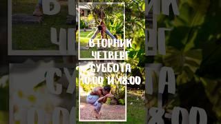 ЙОГА КАТА НОЙ вт чтв сб 18:00 #yoga #yogaphuket #phuket #йога #пхукет #йогапхукет