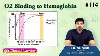 114. O2 Binding to Hemoglobin